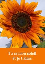 tu es mon soleil et je t'aime